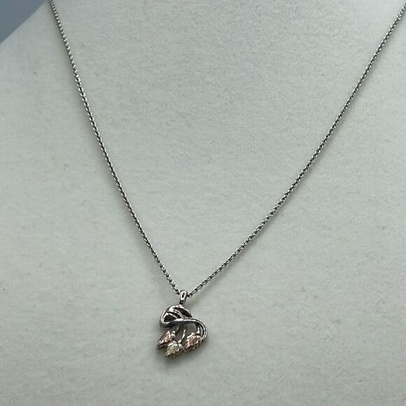 10K Dakota gold and sterling silver pendant and silver chain - Picture 3 of 10